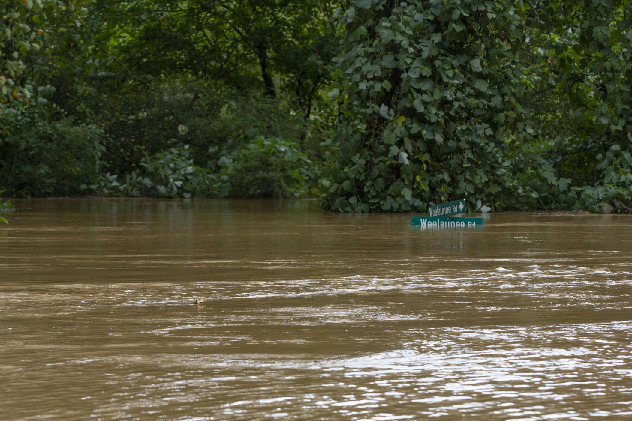 Street signs stand nearly submerged by floodwaters