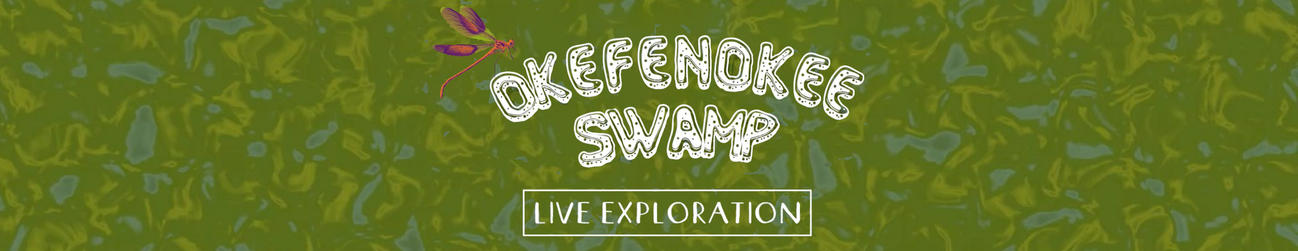 Live Exploration: Okefenokee