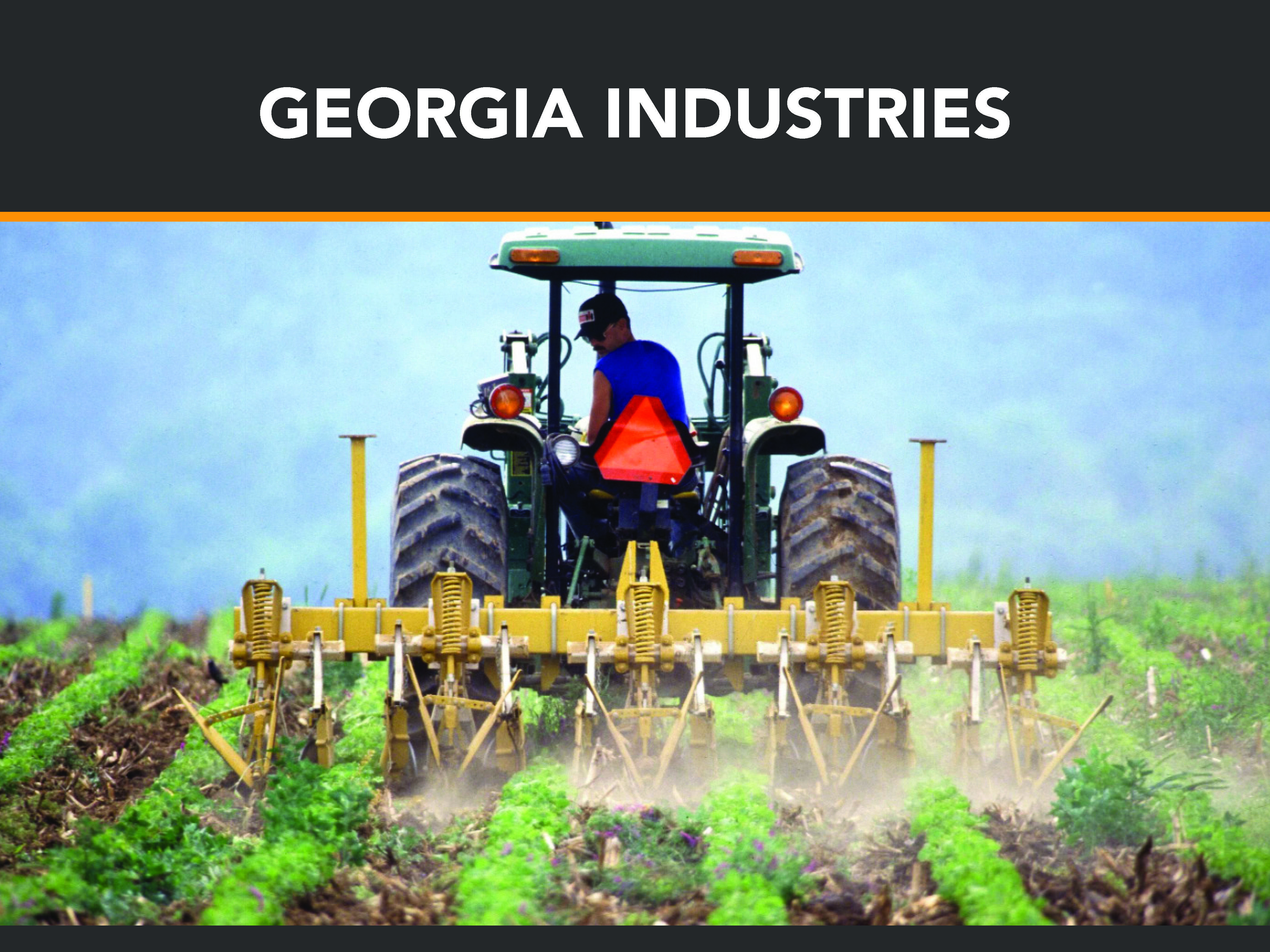 Georgia Stories: Georgia Industries