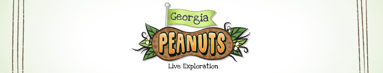 Peanuts banner