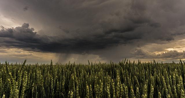 With tariffs impacting business, Georgia farmers are dealing with the fallout. Research from the University of Georgia strives to better understand farmers' risk for suicide in order to equip communities with a plan to provide better help.