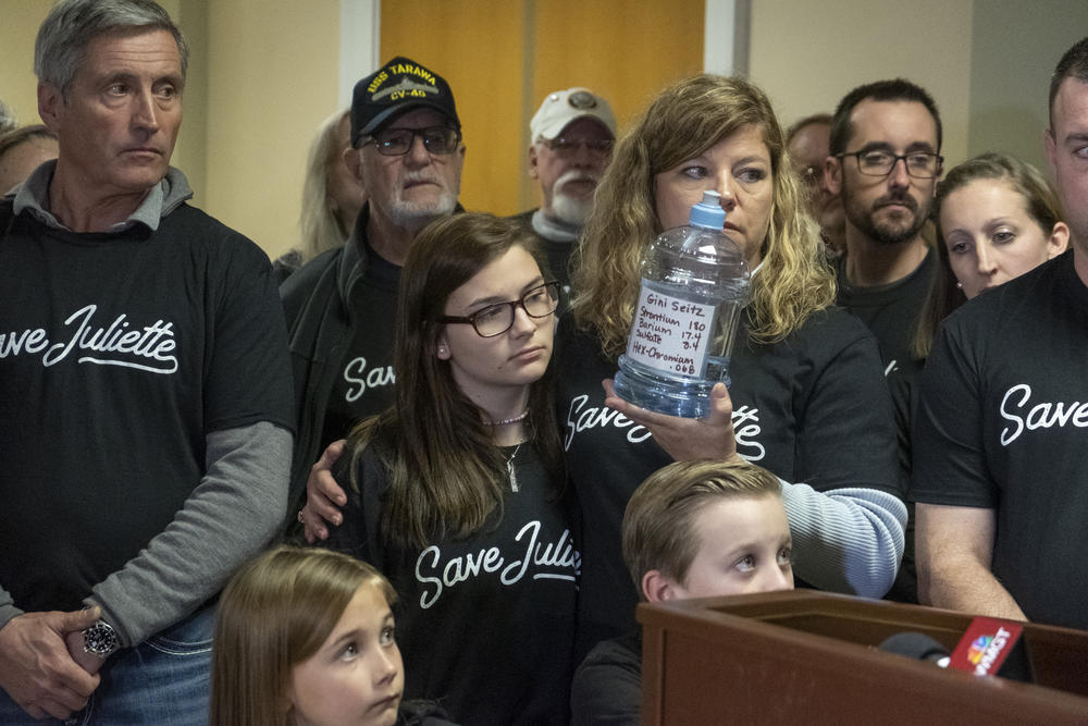 Residents of Juliette. Georgia protest at the state Capitol