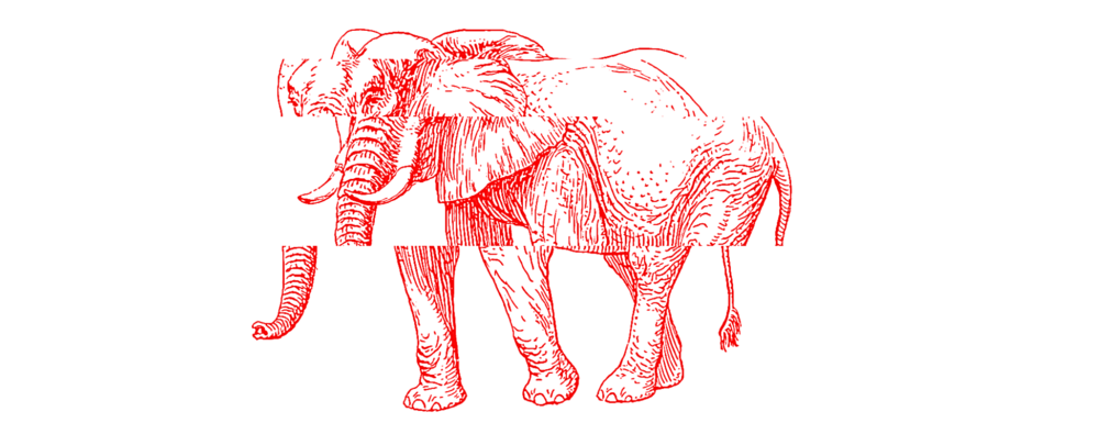 An image of an elepant.