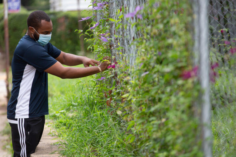 Teboris Barnes tends to flowers along the fence line in his West Atlanta yard.