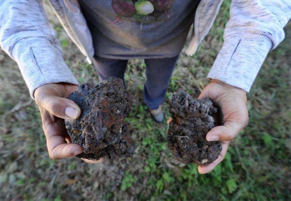Pieces of slag from English Avenue neighborhood.
