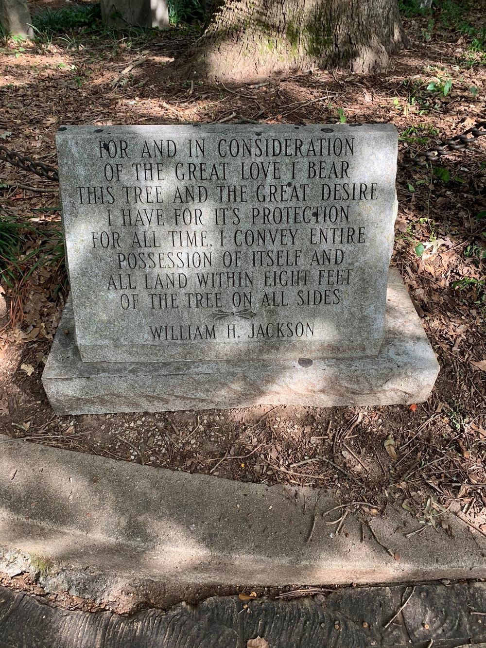 The leaves above make shadows on the stone placard in front of "The Tree That Owns Itself" that reads: "For and in consideration of the great love I bear for this tree and the great desire I have for its protection for all time, I convey entire possession of itself and all land within eight feet of the tree on all sides. William H. Jackson." 