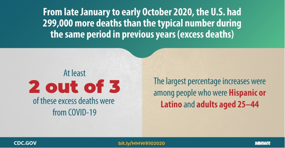 excess deaths report