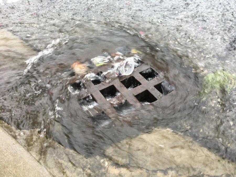 Water going down stormwater drain in Macon