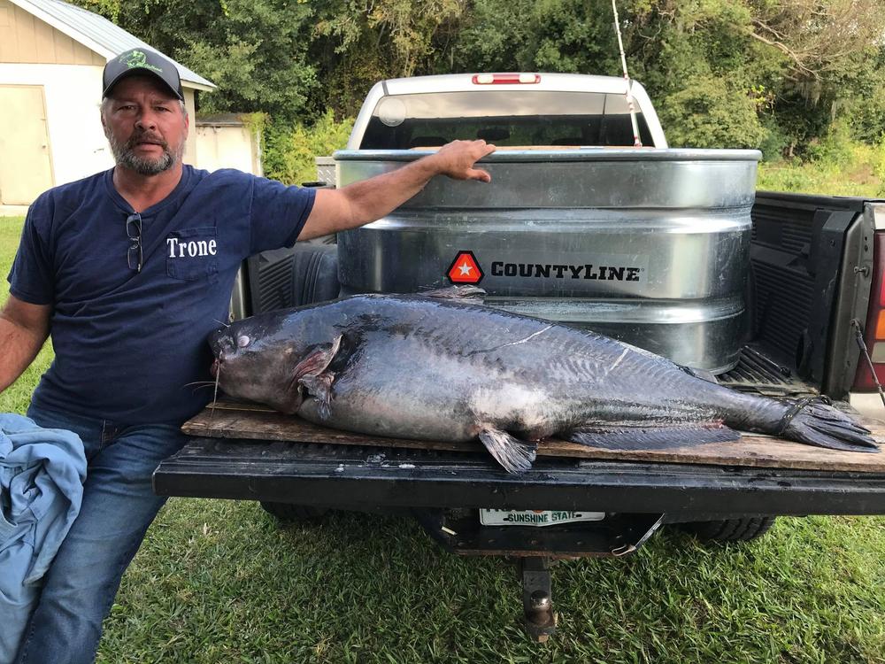 Fisherman Tim Trone poses with his record blue catfish, which takes up most of a pickup truck's tailgate.