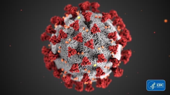 Image of COVID-19 virus