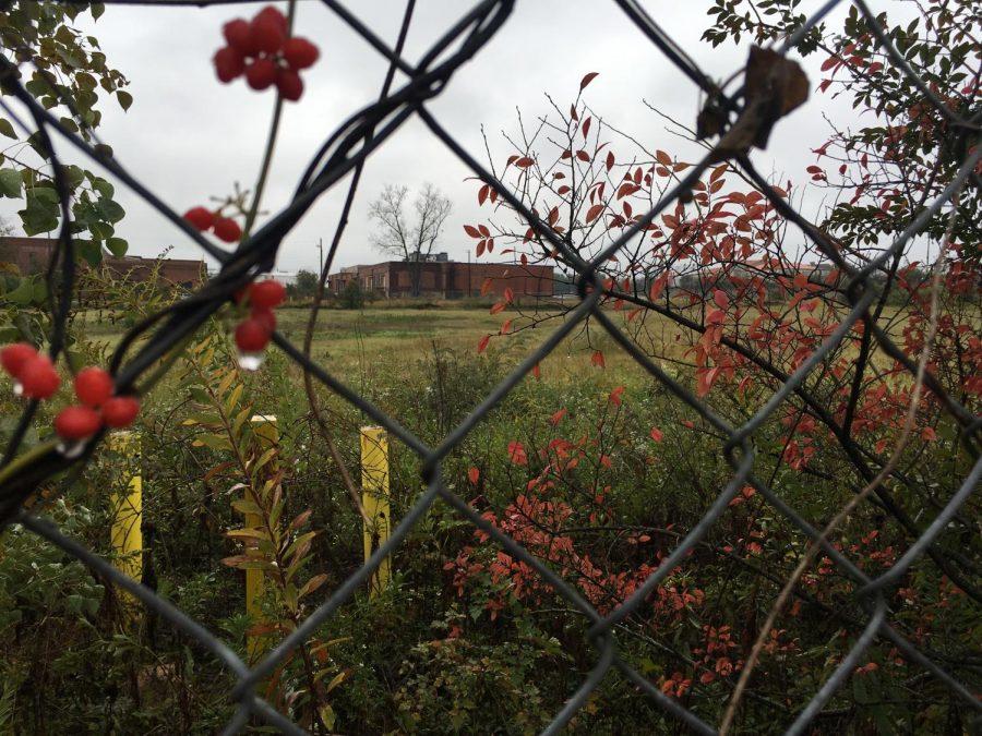 The Macon Housing Authority plans build a $15 million affordable housing complex on Walnut Street next to Daybreak. The development will include a respite for the homeless recovering from surgery or illness.