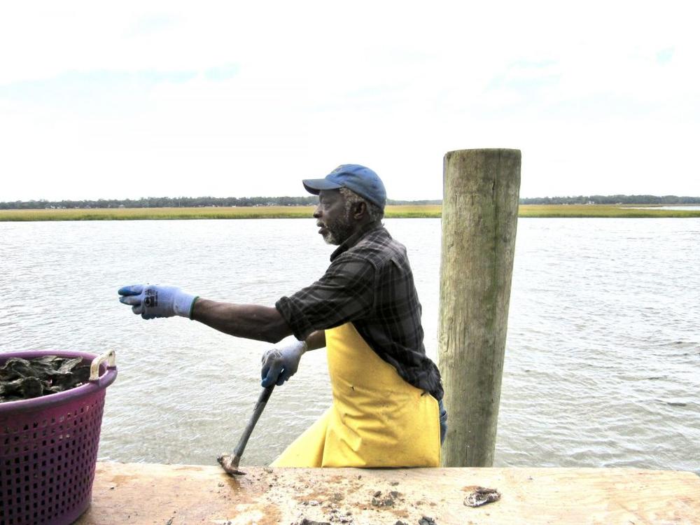 In Townsend, Herman Armstrong of Sapelo Island, uses a hammer to break up clusters of local oysters at Sapelo Sea Farms in McIntosh County. 