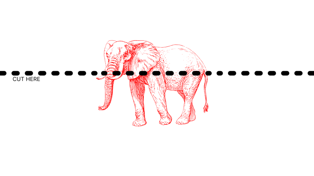 A dot line across an illustration of a elephant. Small letters read "cut here" nearby.