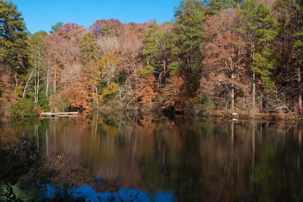 Chattahoochee Nature Center in Roswell