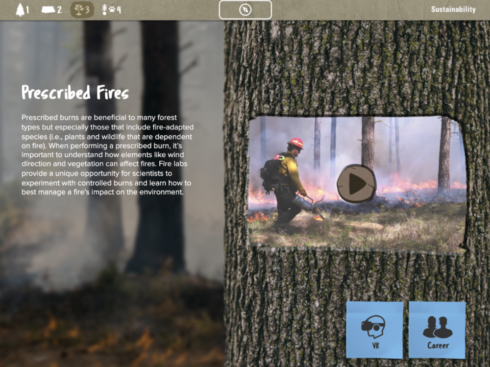 Prescribed fires screen