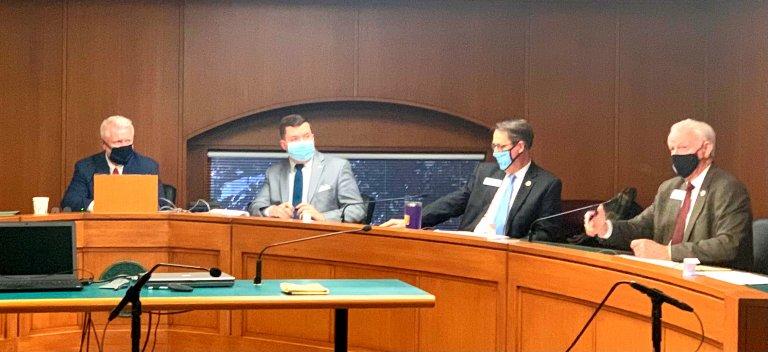 A Georgia Senate panel advanced legislation Wednesday that would eliminate the state's no-excuse absentee ballot law. It also signed off on a bill to require voters to provide ID to vote by mail and a full committee is set to consider the changes Feb. 18. 