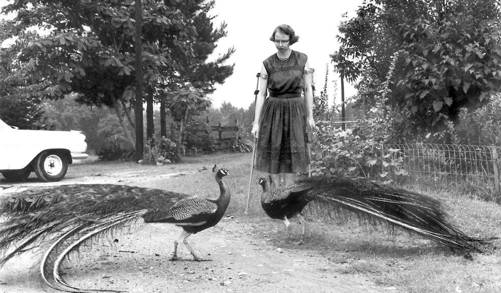 Flannery O’Connor with her peacocks. 