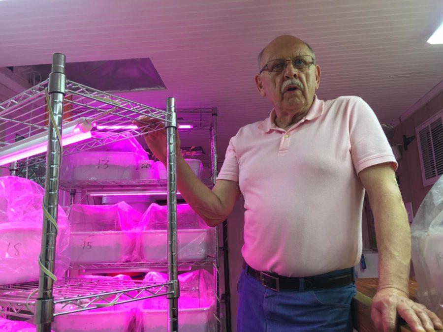 Master gardener Wayne Woodworth is trying to grow a better cherry blossom tree that will thrive in Macon.