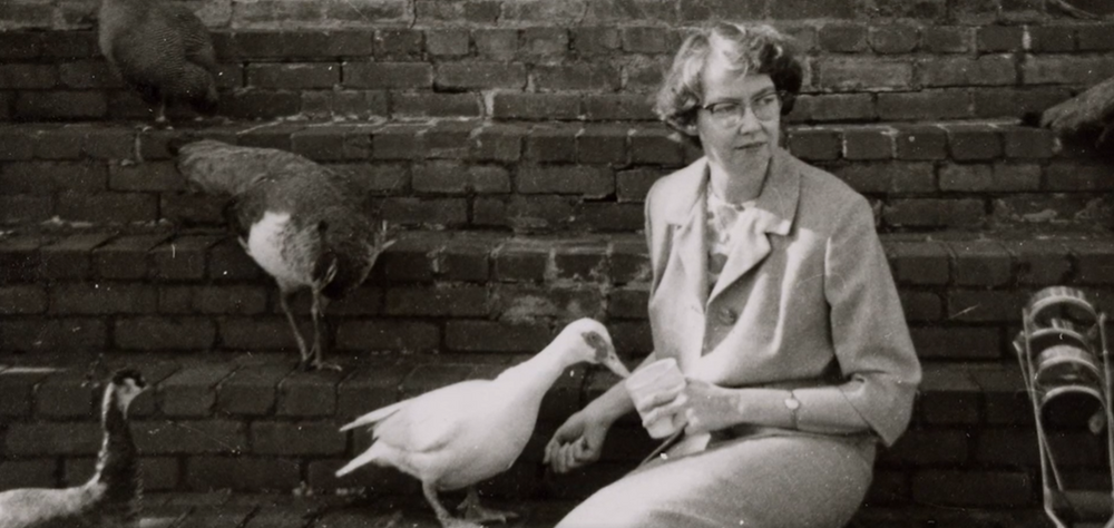 A photo of Author Flannery O'Connor as she sits near ducks and gazes out around her. 