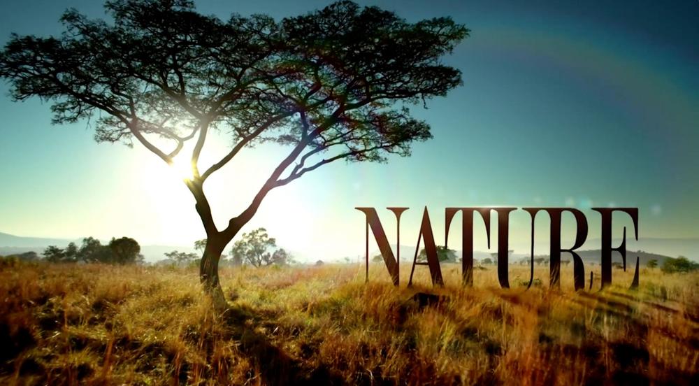 Nature logo