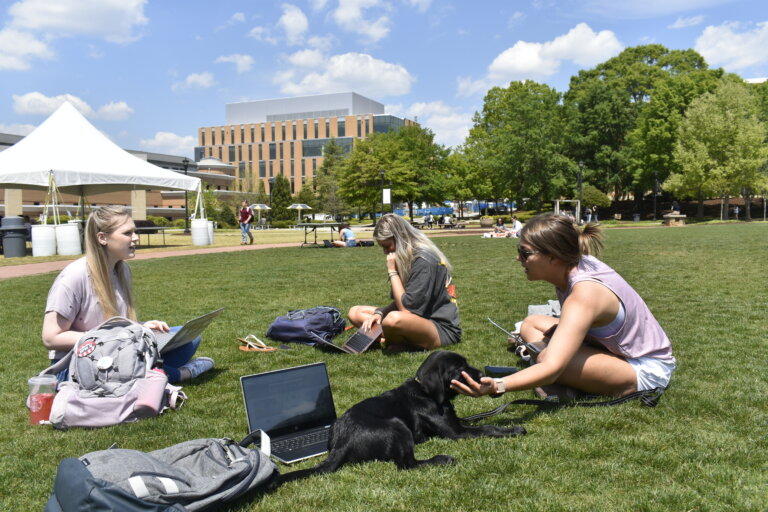 A group of Kennesaw State University students and their puppy do some classwork on the campus green this week.