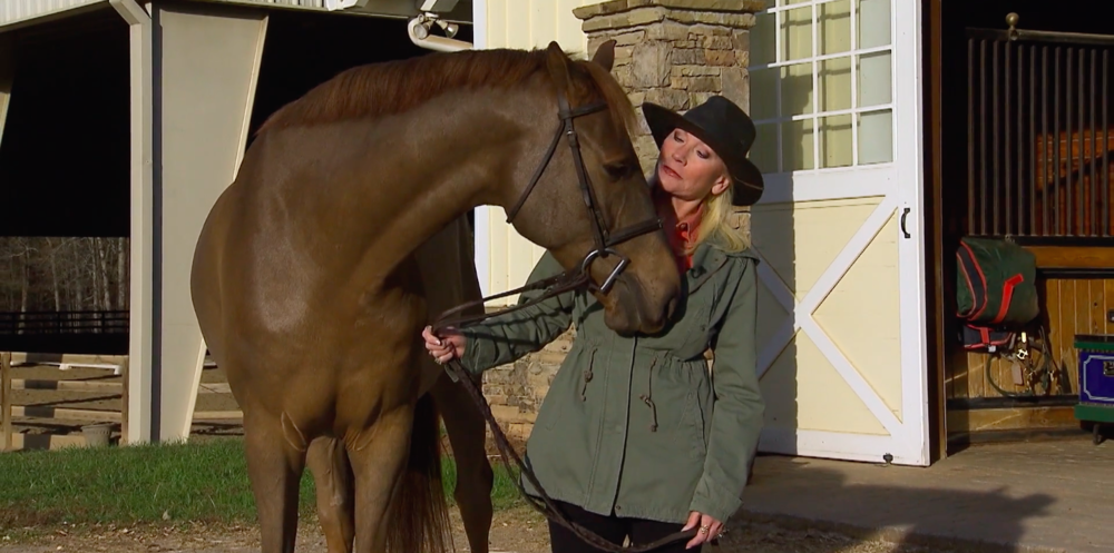 Sharon Collins and a horse.