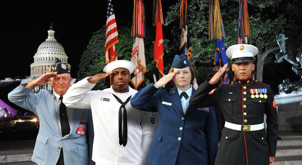 Members and veterans of various military branches salute.