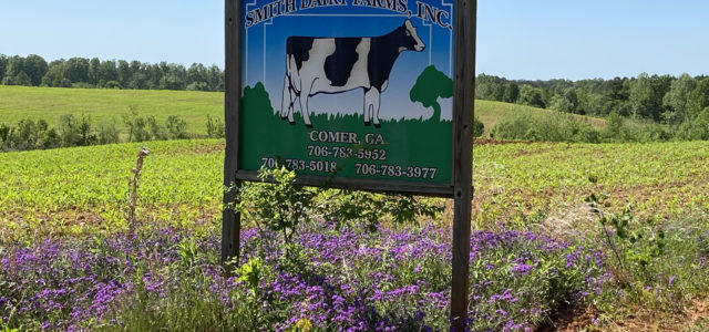 Smith Dairy Farms
