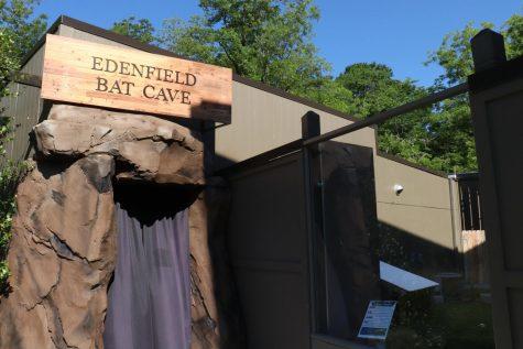 Black curtains and an artificial rock structure mark the entrance to the Edenfield Bat Cave at the Museum of Arts and Science in Macon.