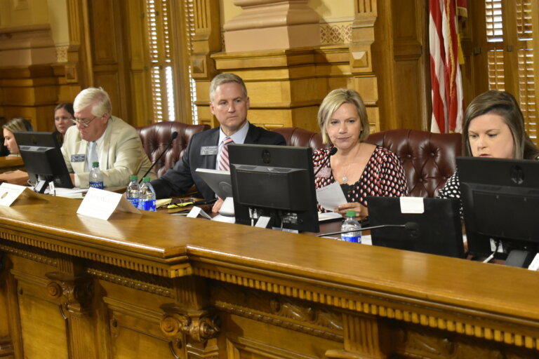 State redistricting chairs Sen. John F. Kennedy and Rep. Bonnie Rich, center, conducted a public hearing Monday to launch Georgia's summer-long revamp of the state's political landscape. 