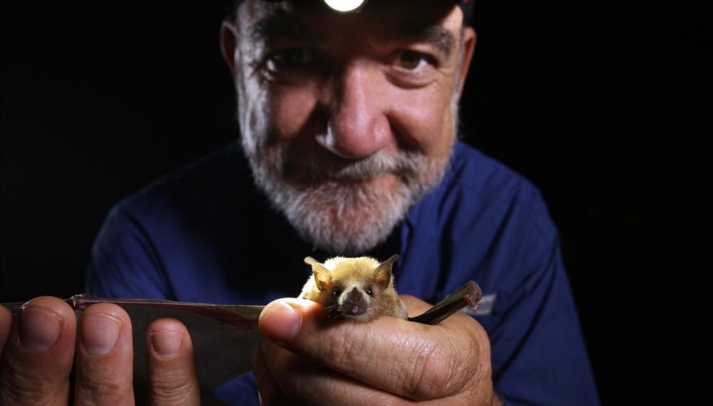 Ecologist Rodrigo Medellin holding a Lesser long-nosed bat.