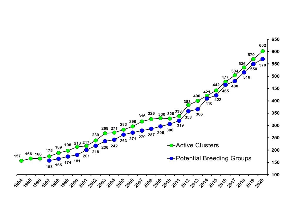 a chart showing the rising red-cockaded woodpecker population at Fort Stewart
