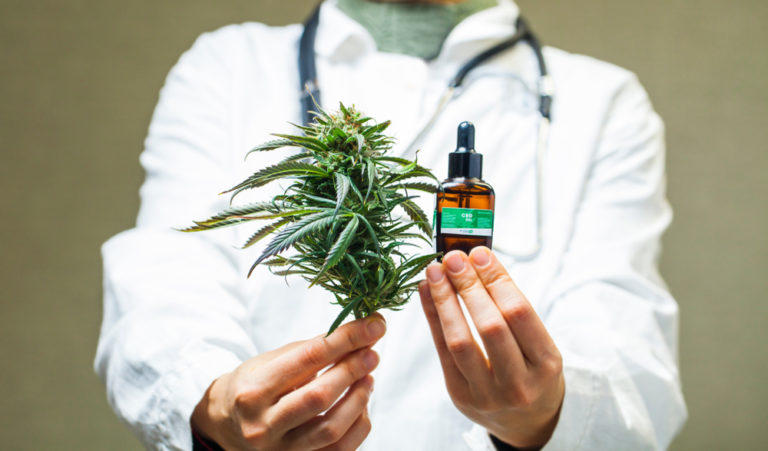 Person holding marijuana plant and oil.