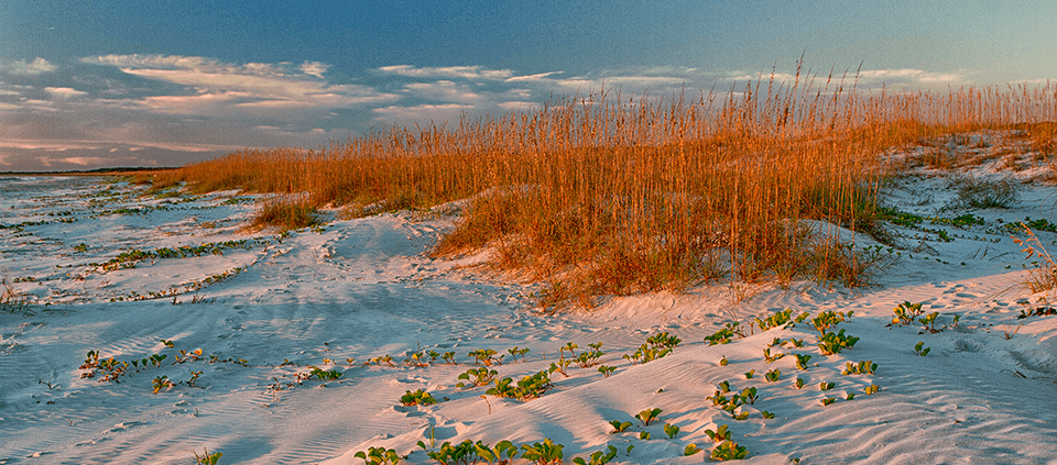 Spaceport Camden's proximity to Cumberland Island helped stir opposition to county plans to launch rockets from the mainland. A review of how rockets might damage historic property at the national seashore remains as one of the few remaining roadblocks to final federal approval to build the spaceport. National Park Service