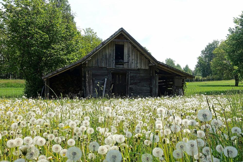   About $67 million has been set aside for an heirs’ property relending program, which will extend low-interest loans to farmers trying to resolve issues denying them a clear title to their land.