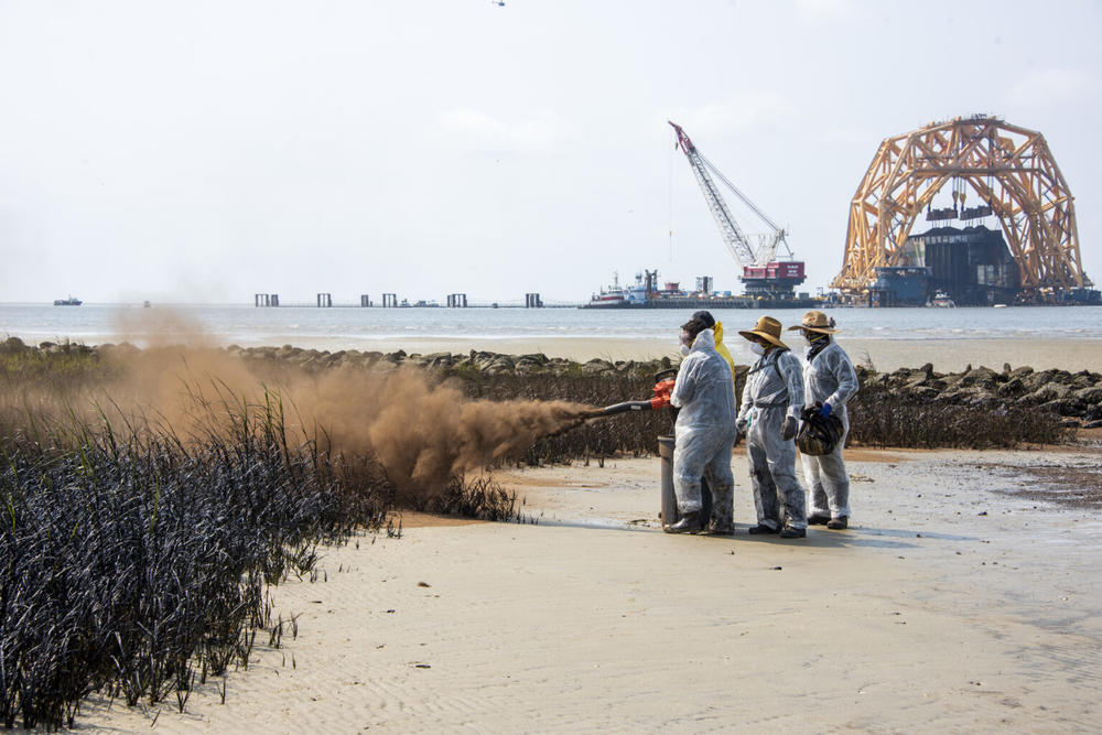 Clean-up crews apply sphagnum moss, which is meant to promote the natural breakdown process of oil while reducing the likelihood of any oil transferring to wildlife. Environmentalists have raised concerns about the tactic. 