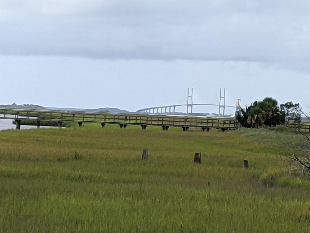  The Marshes of Glynn could benefit from federal legislation still in the works intended to mitigate environmental damage. A resin manufacturer that operated near a Brunswick community for decades contaminated its site with toxaphene.