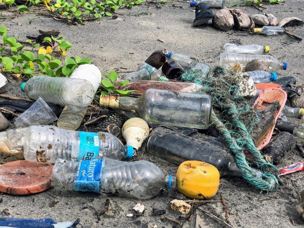 Beach litter