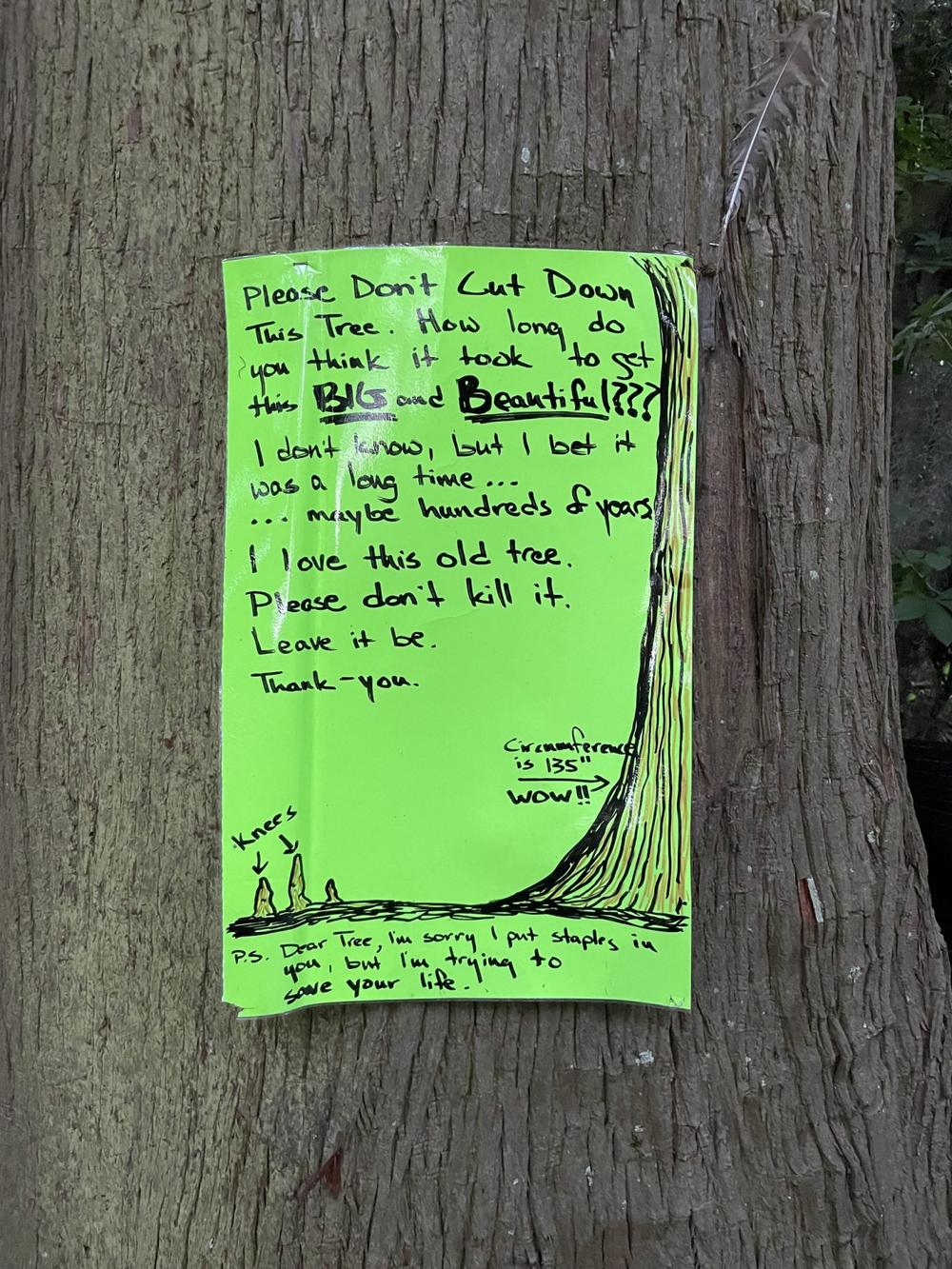  A tree lover pleaded for the safety of this more than 100 year old cypress with a hand-lettered sign.