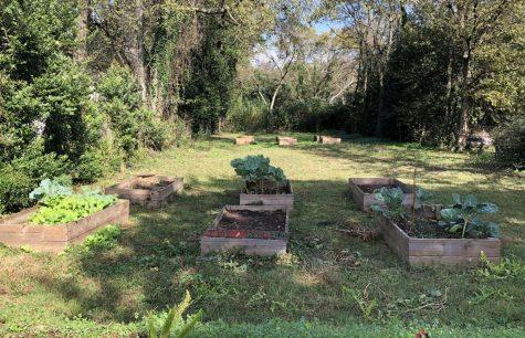 A dozen raised beds off Bowden Street is what remains following a $500,000 grant for the Gateway Heights Agrihood. 