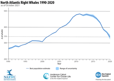 Graph showing decline of North Atlantic Right Whales
