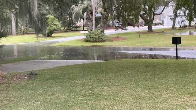 Cardinal Drive across the street from Herb Creek on Isle of Hope on Friday morning, Nov. 5 during a king tide.