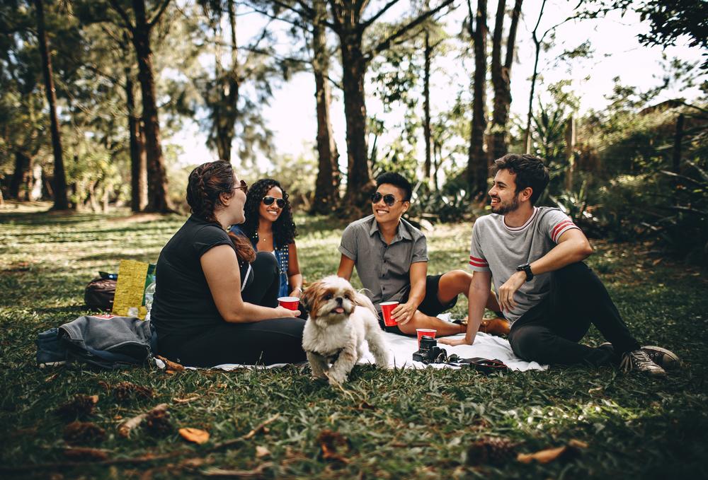 Group of people sitting in a grassy field
