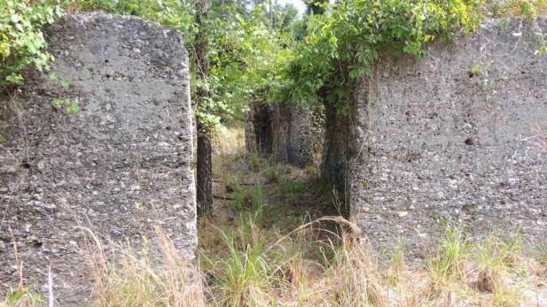 The tabby remains of the Bellevue Plantation house shown in a 2014 report by CH2MHill for Union Carbide.