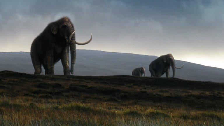 An illustration of mammoths.