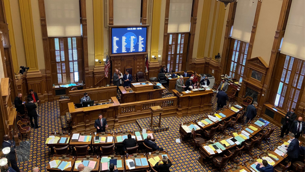 A view of lawmakers inside the capitol.