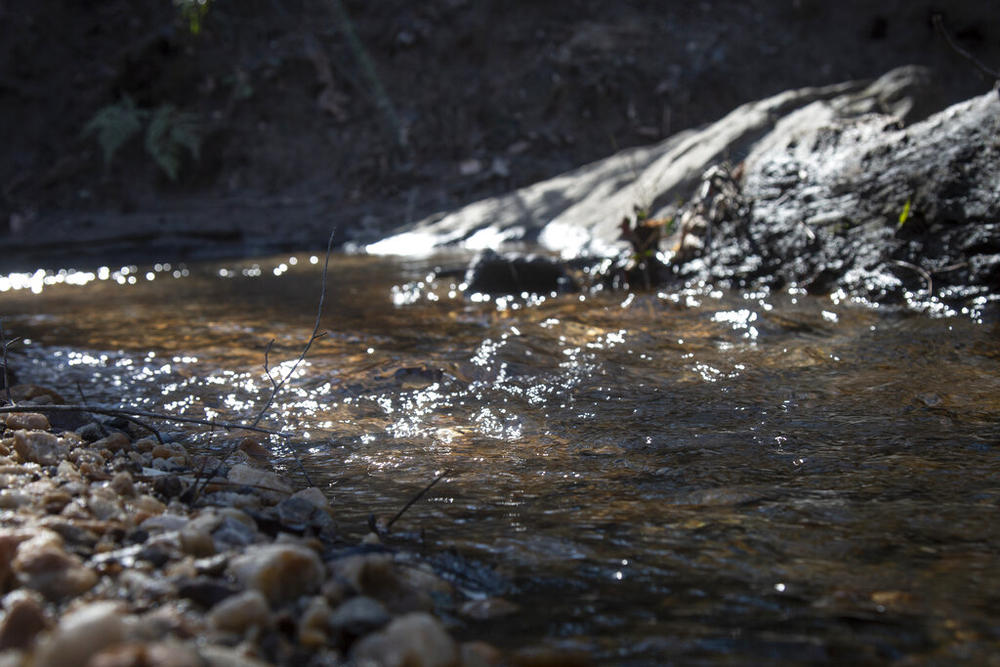 A portion of South Fork Peachtree Creek is shown on Wednesday, Jan. 26, 2022, in Decatur, Georgia. Jonathon Keats, an American conceptual artist, is in the process of devising a municipal clock to be located in Atlanta which would display time based on the flow rate of local rivers and waterways. Keats envisions the project as a way for people to have a closer connection with their natural surroundings.