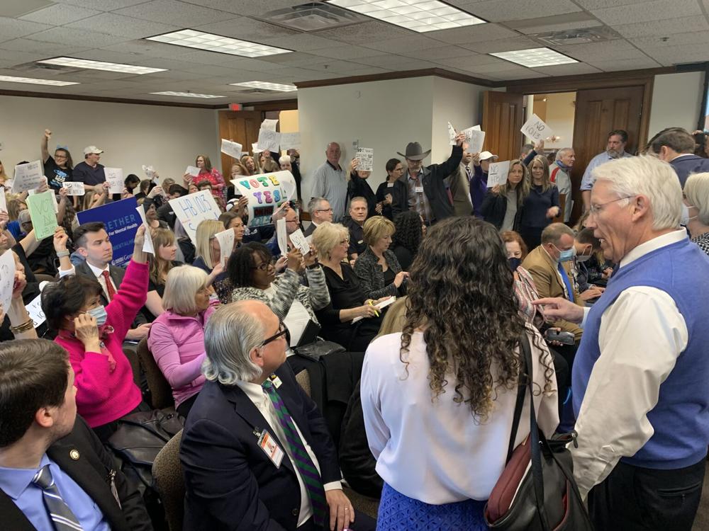 A large group of activists showed up Monday to oppose a wide-ranging mental health bill pending in committee. Secretary of Senate David Cook (right) and additional state troopers were called to the room to maintain order.