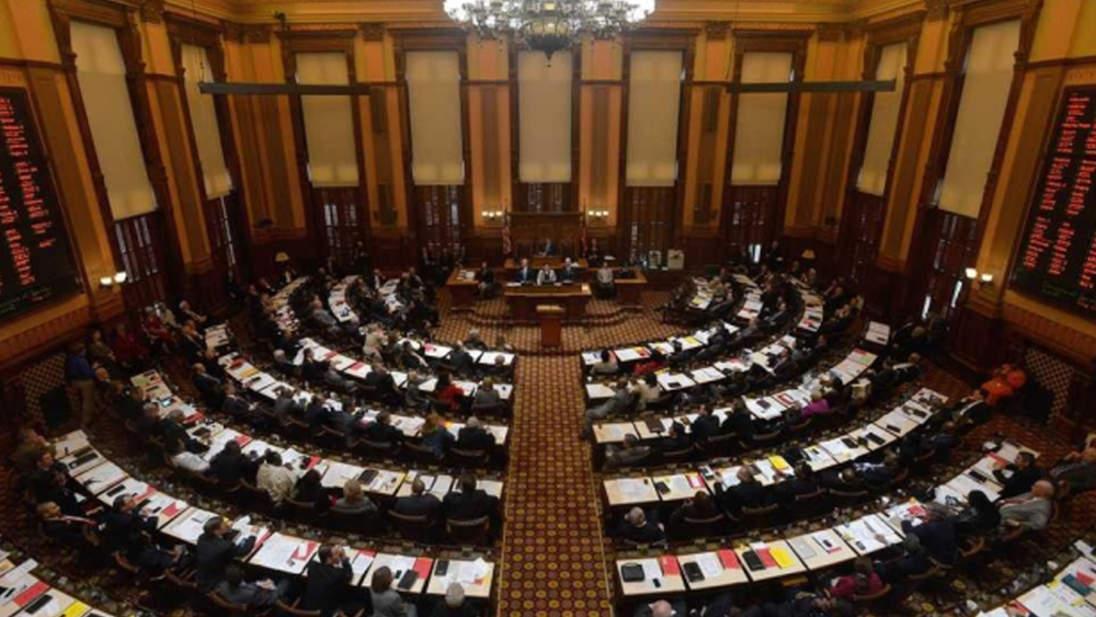 Georgia Senate