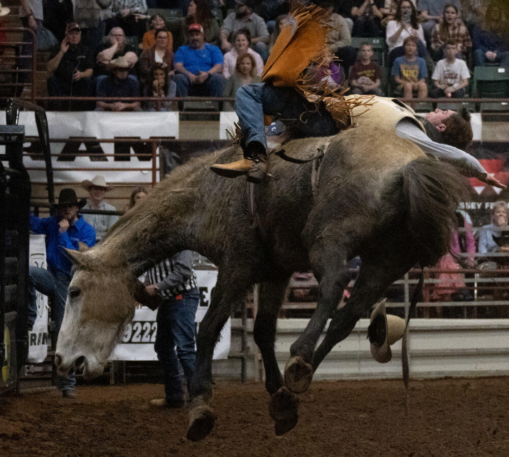 Bareback rider Isaac Ingram on the unnamed horse he was assigned for the rodeo.